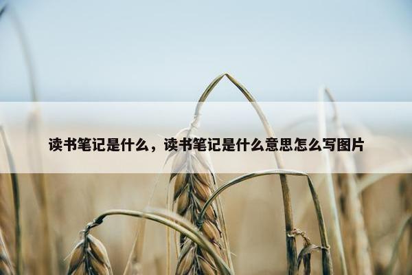 读书笔记是什么，读书笔记是什么意思怎么写图片