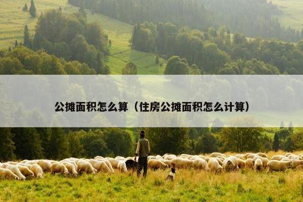 公摊面积怎么算（住房公摊面积怎么计算）