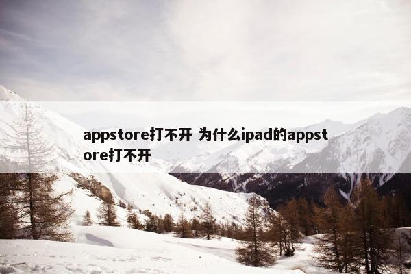 appstore打不开 为什么ipad的appstore打不开