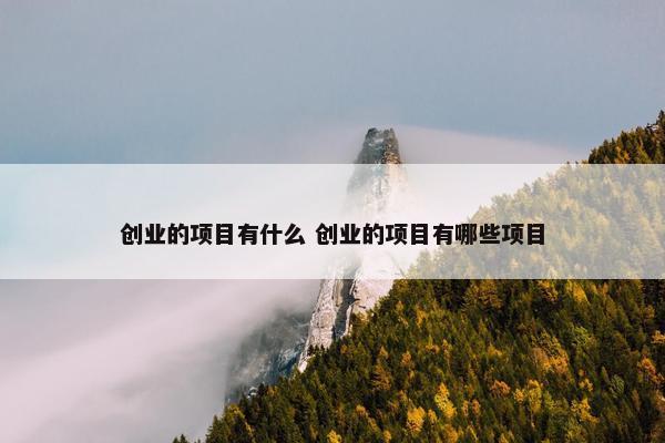 创业的项目有什么 创业的项目有哪些项目