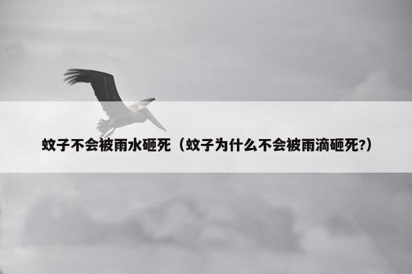 蚊子不会被雨水砸死（蚊子为什么不会被雨滴砸死?）