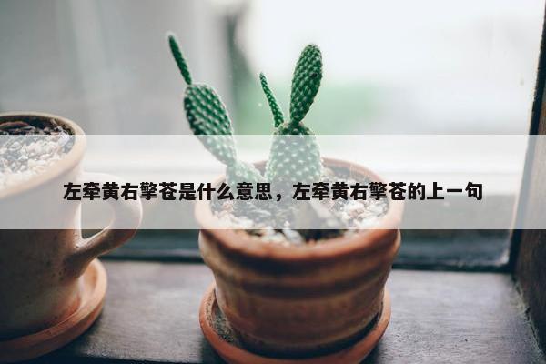 左牵黄右擎苍是什么意思，左牵黄右擎苍的上一句