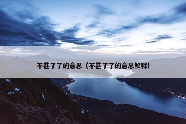 不甚了了的意思（不甚了了的意思解释）