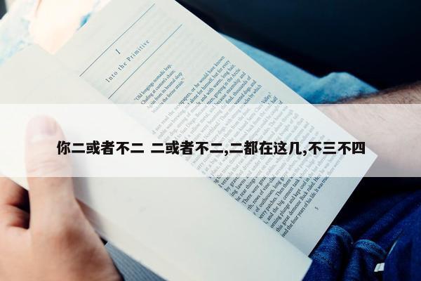 你二或者不二 二或者不二,二都在这几,不三不四