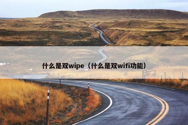 什么是双wipe（什么是双wifi功能）