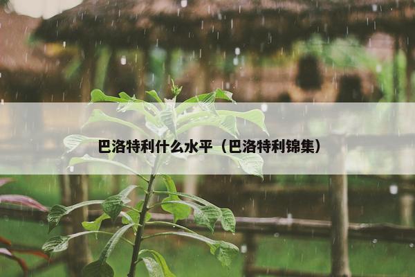 巴洛特利什么水平（巴洛特利锦集）