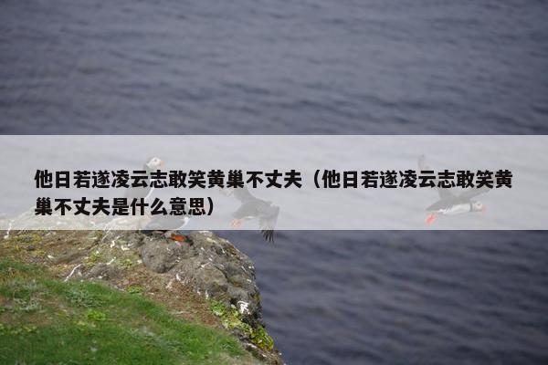 他日若遂凌云志敢笑黄巢不丈夫（他日若遂凌云志敢笑黄巢不丈夫是什么意思）