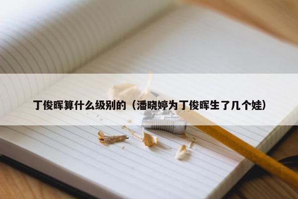 丁俊晖算什么级别的（潘晓婷为丁俊晖生了几个娃）