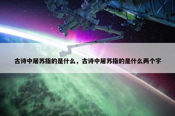 古诗中屠苏指的是什么，古诗中屠苏指的是什么两个字