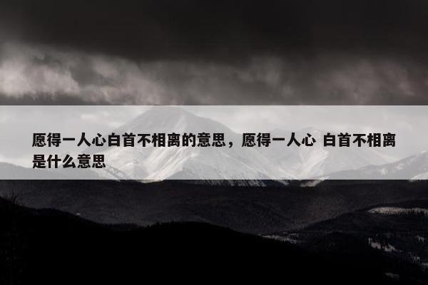 愿得一人心白首不相离的意思，愿得一人心 白首不相离是什么意思