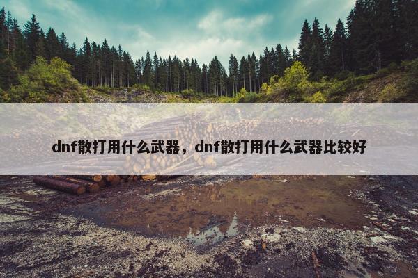 dnf散打用什么武器，dnf散打用什么武器比较好