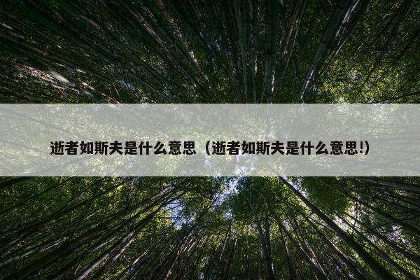 逝者如斯夫是什么意思（逝者如斯夫是什么意思!）