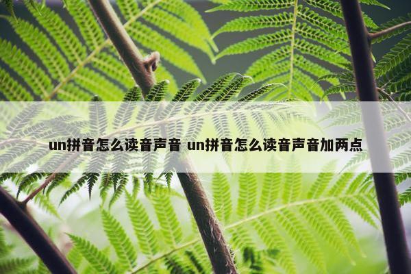 un拼音怎么读音声音 un拼音怎么读音声音加两点