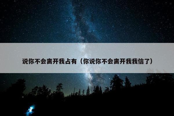 说你不会离开我占有（你说你不会离开我我信了）