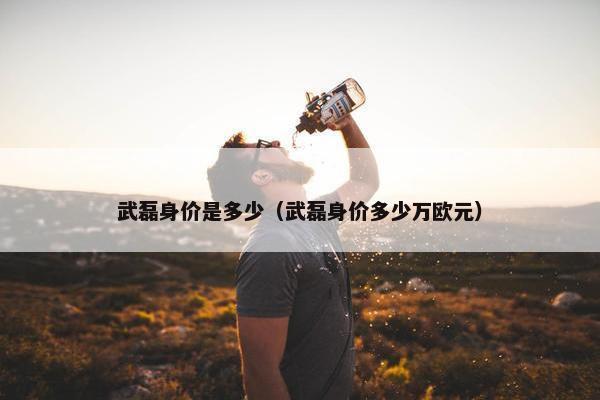 武磊身价是多少（武磊身价多少万欧元）