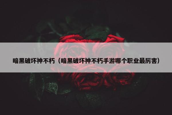 暗黑破坏神不朽（暗黑破坏神不朽手游哪个职业最厉害）