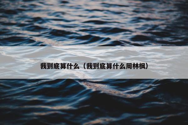 我到底算什么（我到底算什么周林枫）