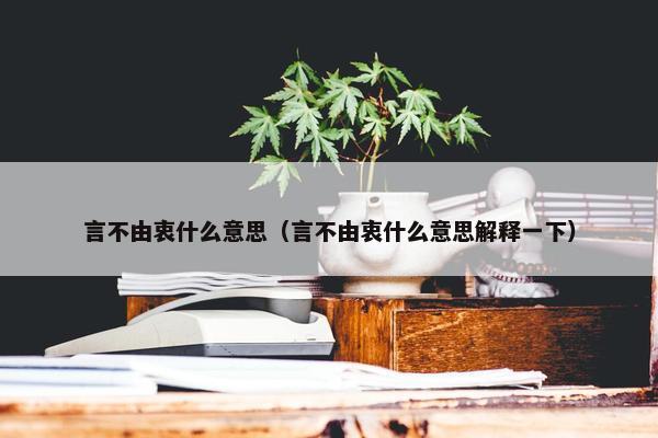 言不由衷什么意思（言不由衷什么意思解释一下）