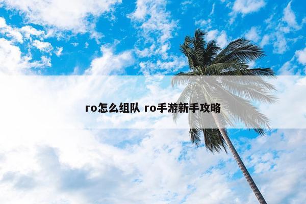 ro怎么组队 ro手游新手攻略