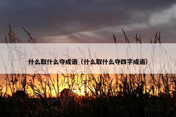 什么取什么夺成语（什么取什么夺四字成语）