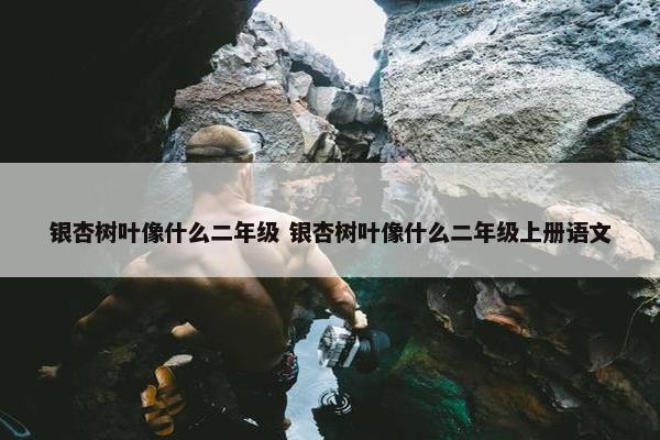 银杏树叶像什么二年级 银杏树叶像什么二年级上册语文