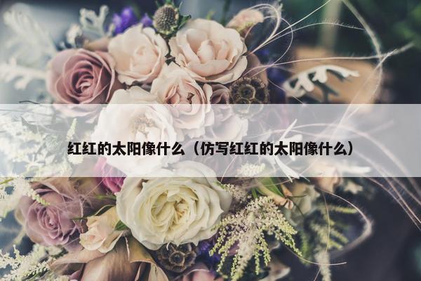 红红的太阳像什么（仿写红红的太阳像什么）