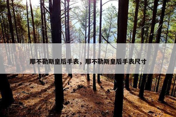 那不勒斯皇后手表，那不勒斯皇后手表尺寸