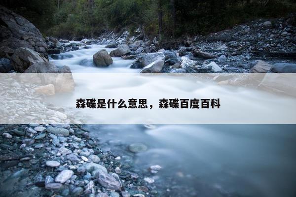 森碟是什么意思，森碟百度百科