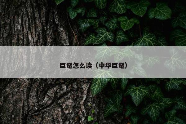 巨鼋怎么读（中华巨鼋）