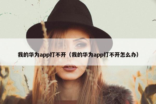 我的华为app打不开（我的华为app打不开怎么办）