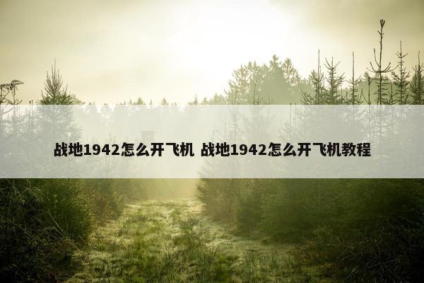 战地1942怎么开飞机 战地1942怎么开飞机教程