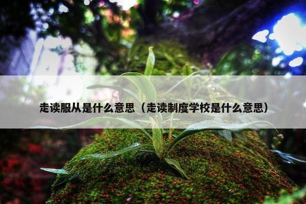 走读服从是什么意思（走读制度学校是什么意思）