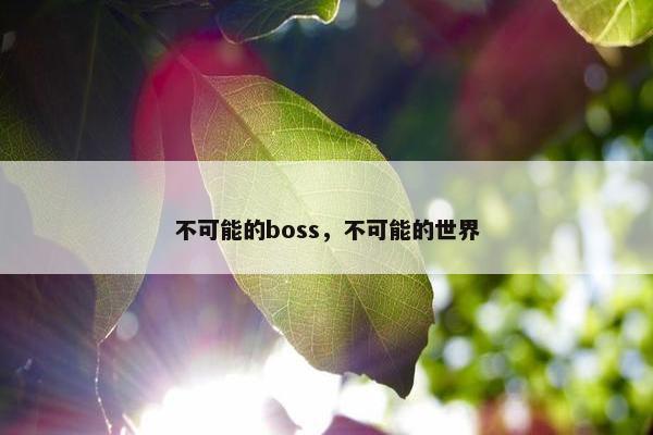 不可能的boss，不可能的世界