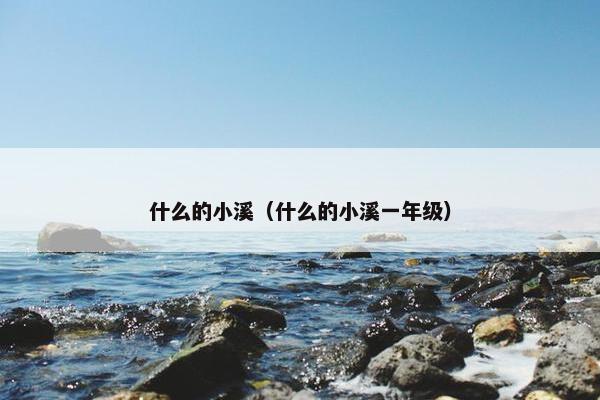 什么的小溪（什么的小溪一年级）