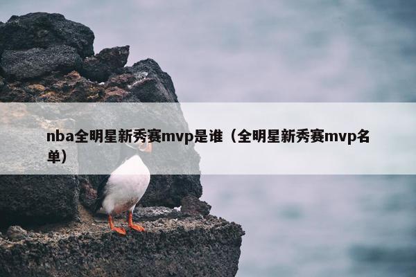 nba全明星新秀赛mvp是谁（全明星新秀赛mvp名单）