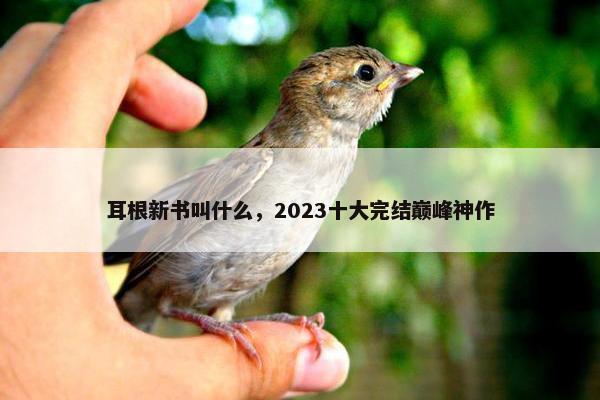 耳根新书叫什么，2023十大完结巅峰神作