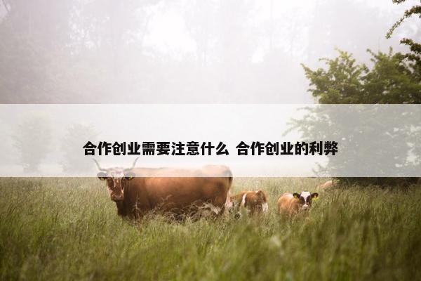 合作创业需要注意什么 合作创业的利弊