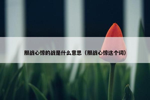 胆战心惊的战是什么意思（胆战心惊这个词）