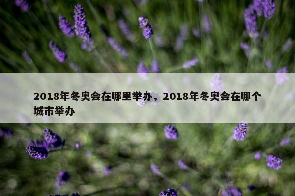 2018年冬奥会在哪里举办，2018年冬奥会在哪个城市举办