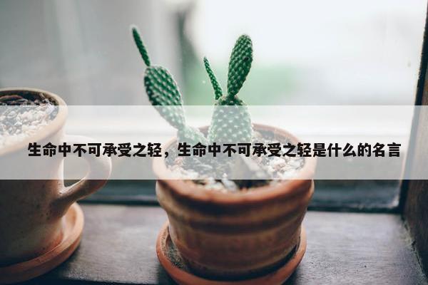 生命中不可承受之轻，生命中不可承受之轻是什么的名言