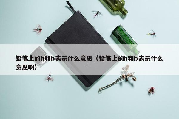 铅笔上的h和b表示什么意思（铅笔上的h和b表示什么意思啊）