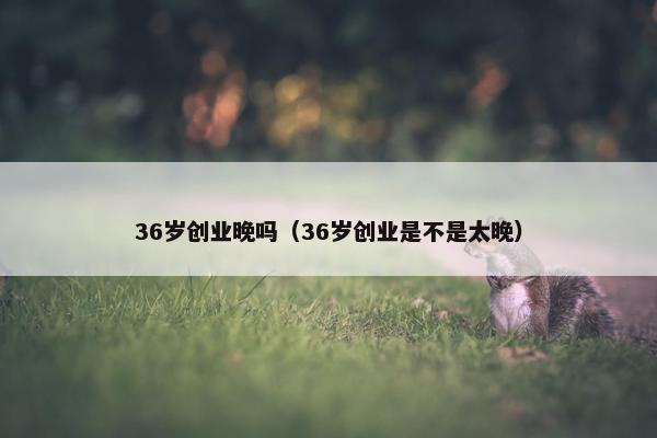 36岁创业晚吗（36岁创业是不是太晚）