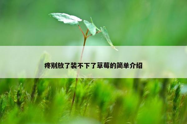 疼别放了装不下了草莓的简单介绍