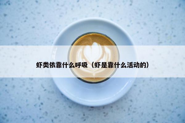 虾类依靠什么呼吸（虾是靠什么活动的）