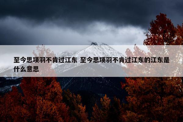 至今思项羽不肯过江东 至今思项羽不肯过江东的江东是什么意思