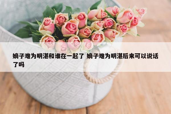 嫡子难为明湛和谁在一起了 嫡子难为明湛后来可以说话了吗