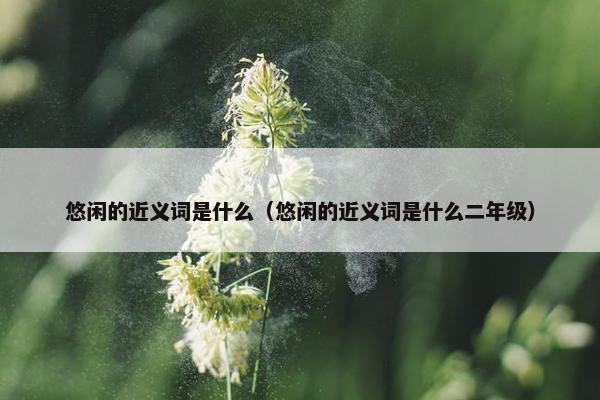 悠闲的近义词是什么（悠闲的近义词是什么二年级）