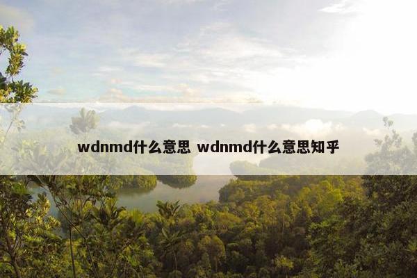 wdnmd什么意思 wdnmd什么意思知乎