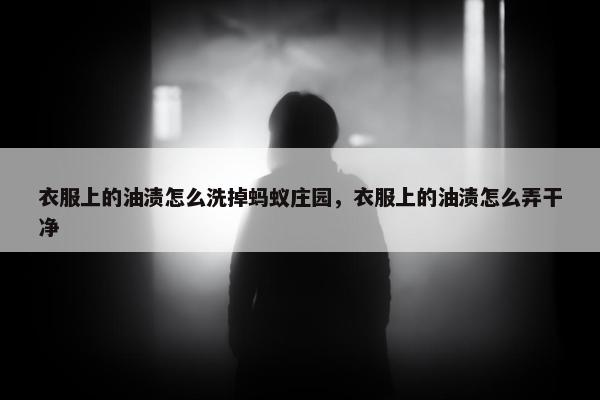 衣服上的油渍怎么洗掉蚂蚁庄园，衣服上的油渍怎么弄干净