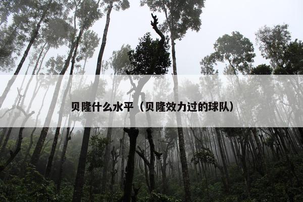 贝隆什么水平（贝隆效力过的球队）